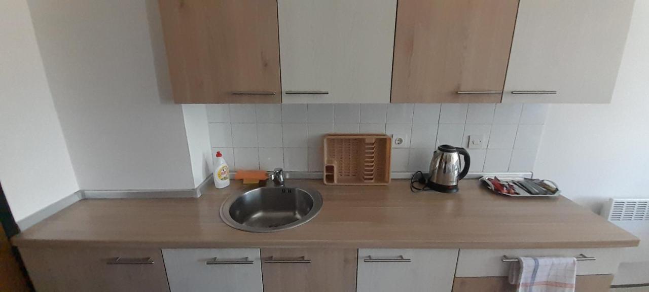 סראייבו Cozy And Sunny Apartment Near The Airport מראה חיצוני תמונה